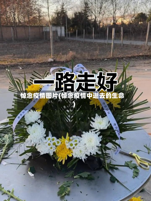 悼念疫情图片(悼念疫情中逝去的生命)-第3张图片