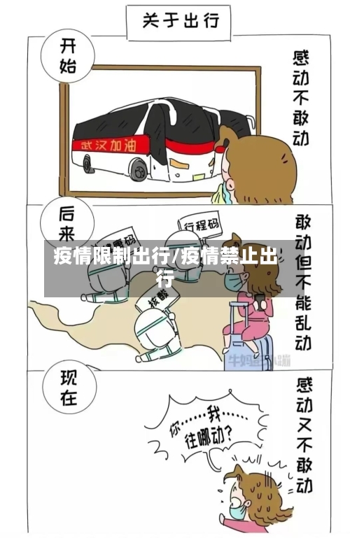 疫情限制出行/疫情禁止出行-第3张图片