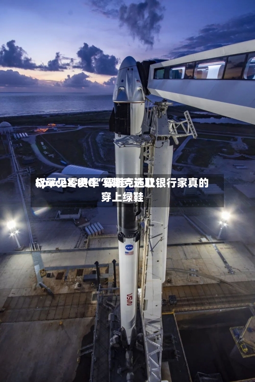 SpaceX IPO“绿鞋	”选取权罕见零费率 马斯克还让银行家真的穿上绿鞋-第2张图片