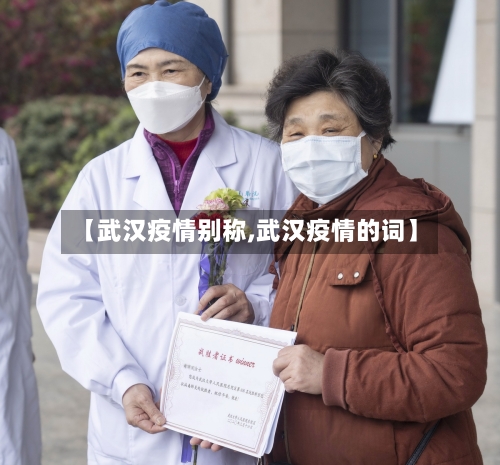 【武汉疫情别称,武汉疫情的词】