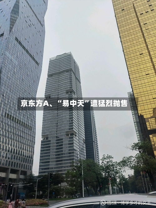 京东方A	、“易中天	”遭猛烈抛售-第2张图片