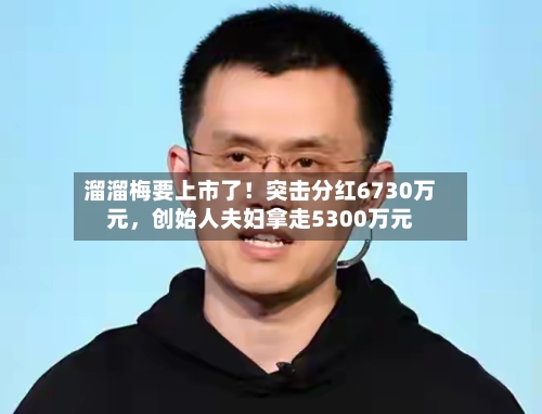 溜溜梅要上市了！突击分红6730万元，创始人夫妇拿走5300万元-第2张图片