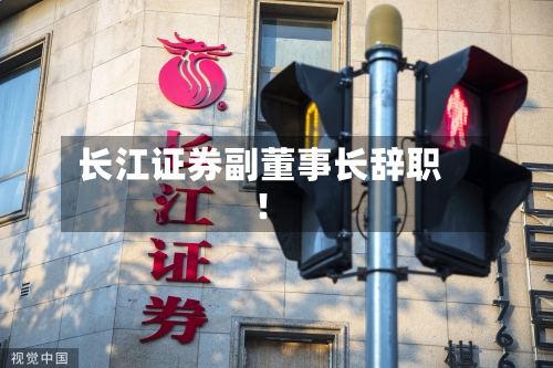 长江证券副董事长辞职！