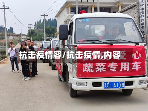 抗击疫情容/抗击疫情,内容