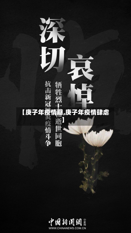【庚子年疫情期,庚子年疫情肆虐】-第2张图片