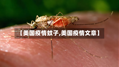 【美国疫情蚊子,美国疫情文章】