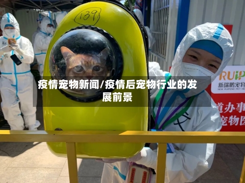 疫情宠物新闻/疫情后宠物行业的发展前景-第2张图片