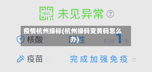 疫情杭州绿标(杭州绿码变黄码怎么办)-第2张图片