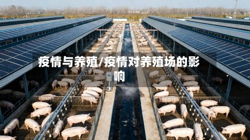 疫情与养殖/疫情对养殖场的影响-第2张图片