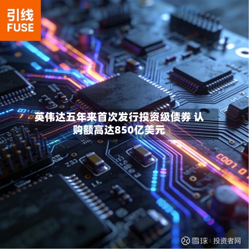英伟达五年来首次发行投资级债券 认购额高达850亿美元-第3张图片