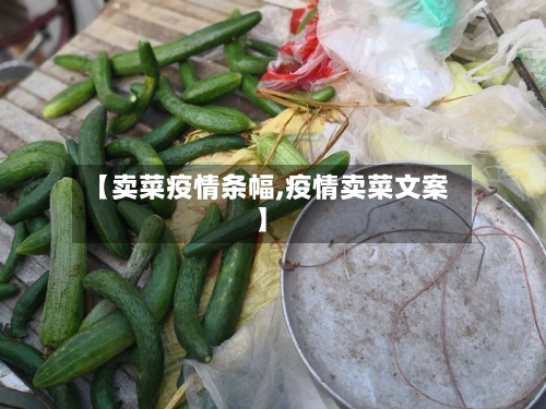 【卖菜疫情条幅,疫情卖菜文案】-第2张图片