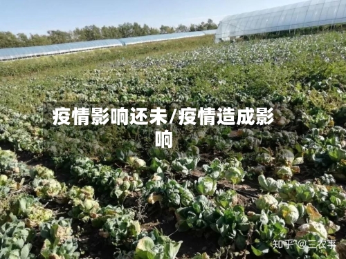 疫情影响还未/疫情造成影响