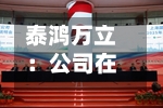 泰鸿万立：公司在低空经济、人形机器人等新兴产业领域尚无具体的业务或项目-第3张图片