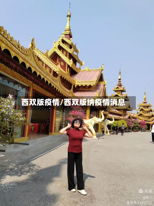 西双版疫情/西双版纳疫情消息-第2张图片