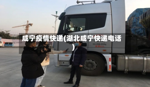 咸宁疫情快递(湖北咸宁快递电话)-第2张图片