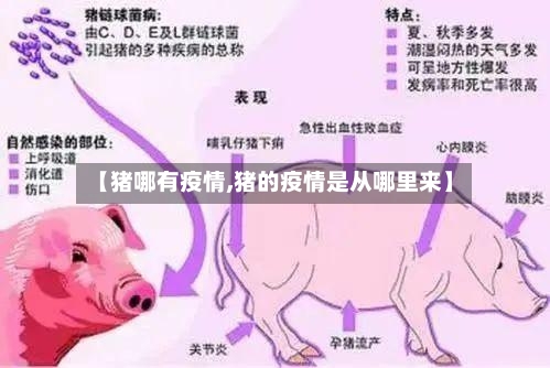 【猪哪有疫情,猪的疫情是从哪里来】