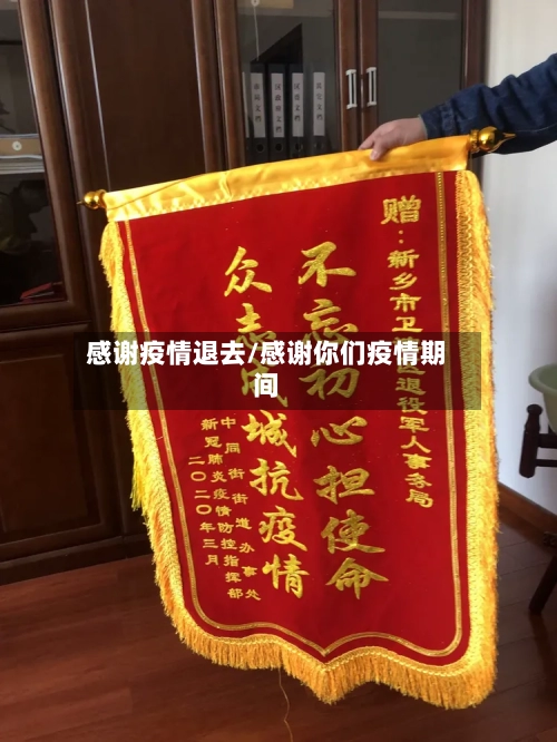 感谢疫情退去/感谢你们疫情期间-第2张图片