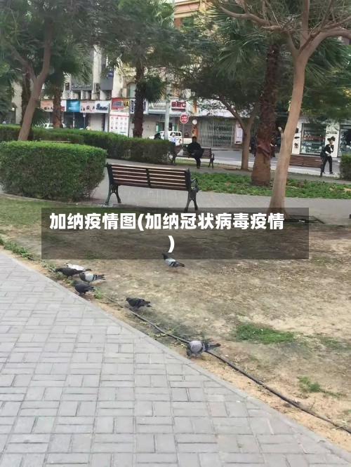 加纳疫情图(加纳冠状病毒疫情)-第3张图片