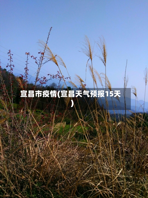 宣昌市疫情(宣昌天气预报15天)