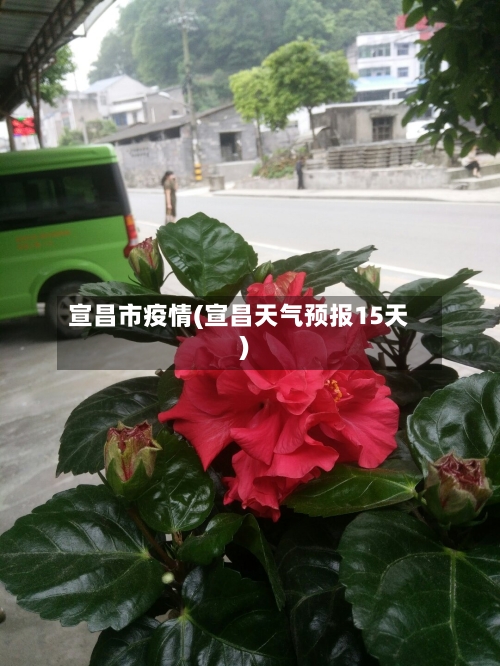 宣昌市疫情(宣昌天气预报15天)-第3张图片