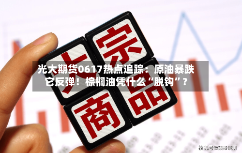 光大期货0617热点追踪：原油暴跌它反弹！棕榈油凭什么“脱钩”？-第2张图片