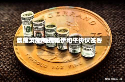 欧洲天然气费用震荡 市场等待美伊和平协议签署