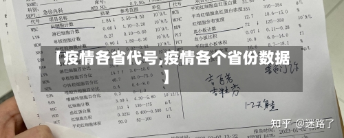 【疫情各省代号,疫情各个省份数据】-第2张图片
