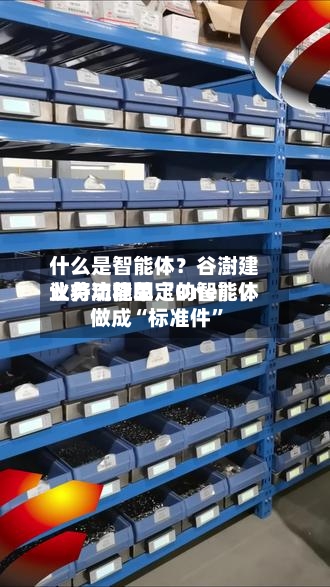 什么是智能体？谷澍建议将功能单〖One〗、业务流程固定的智能体做成“标准件”-第3张图片