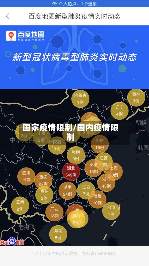 国家疫情限制/国内疫情限制