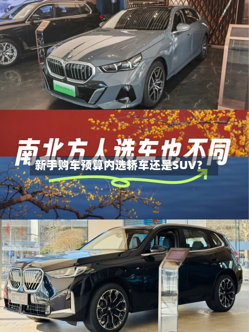 新手购车预算内选轿车还是SUV？-第2张图片