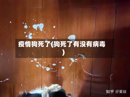 疫情狗死了(狗死了有没有病毒)