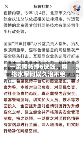 一条黑帖挣6块钱，网络水军何以久治不绝-第3张图片