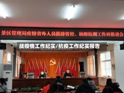 战疫情工作纪实/抗疫工作纪实报告