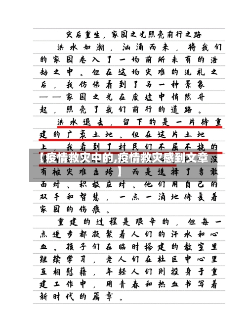 【疫情救灾中的,疫情救灾感到文章】-第3张图片