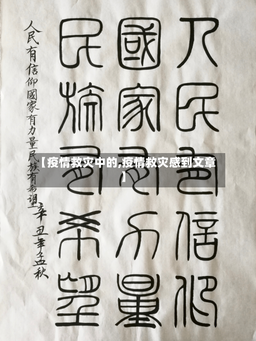 【疫情救灾中的,疫情救灾感到文章】