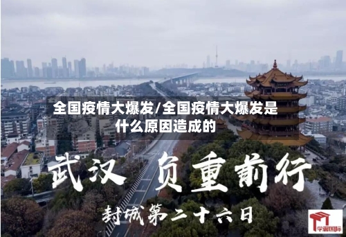 全国疫情大爆发/全国疫情大爆发是什么原因造成的-第3张图片
