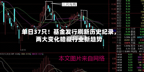 单日37只！基金发行刷新历史纪录，两大变化暗藏行业新趋势-第2张图片