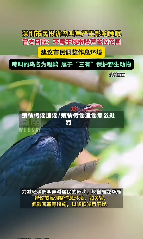 疫情传谣造谣/疫情传谣造谣怎么处罚
