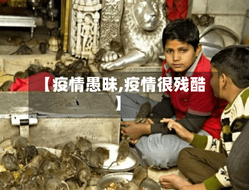【疫情愚昧,疫情很残酷】