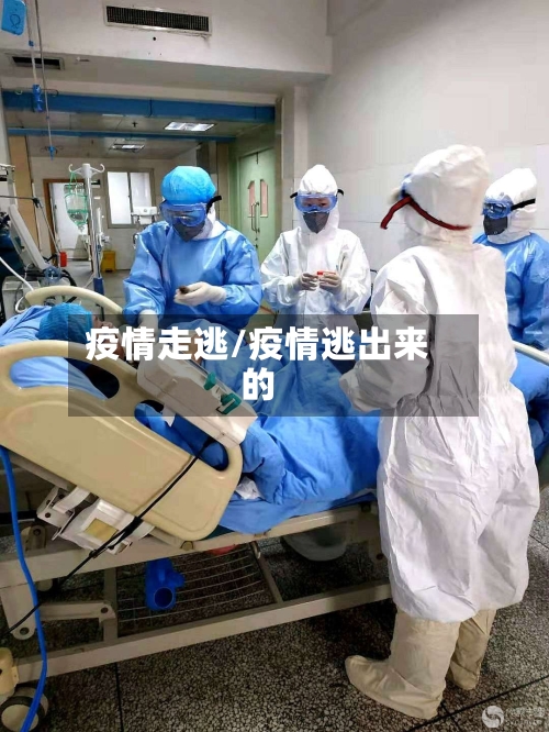 疫情走逃/疫情逃出来的-第2张图片