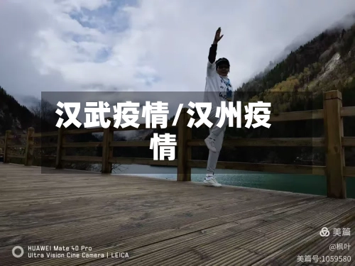 汉武疫情/汉州疫情