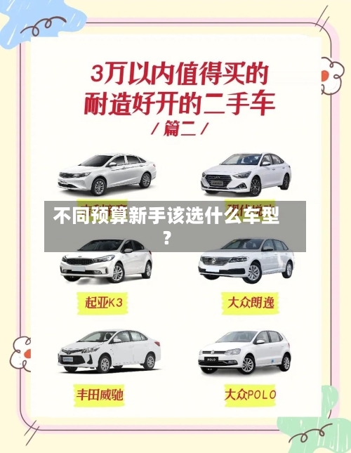 不同预算新手该选什么车型？-第2张图片