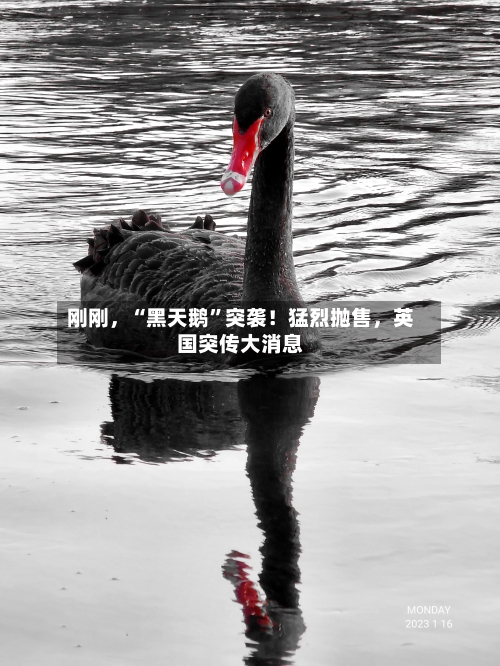 刚刚	，“黑天鹅”突袭！猛烈抛售，英国突传大消息-第2张图片