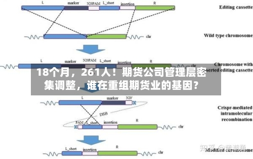 18个月	，261人！期货公司管理层密集调整，谁在重组期货业的基因？-第2张图片