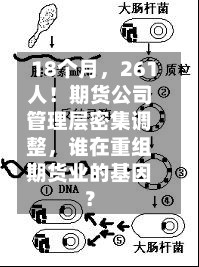 18个月，261人！期货公司管理层密集调整，谁在重组期货业的基因？