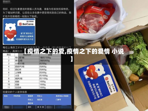 【疫情之下的爱,疫情之下的爱情 小说】-第3张图片