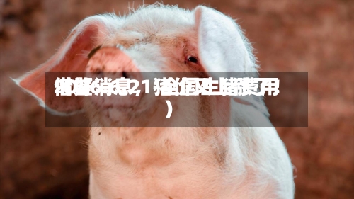 2026.6.21-全国生猪费用借鉴（好消息，猪价又上涨了！）-第2张图片