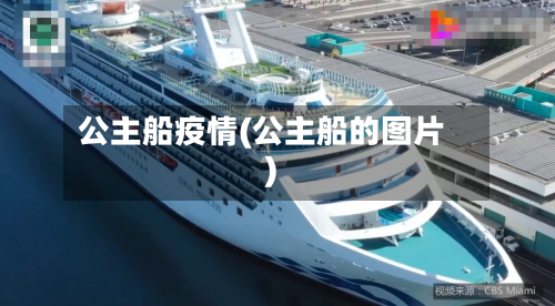 公主船疫情(公主船的图片)-第2张图片