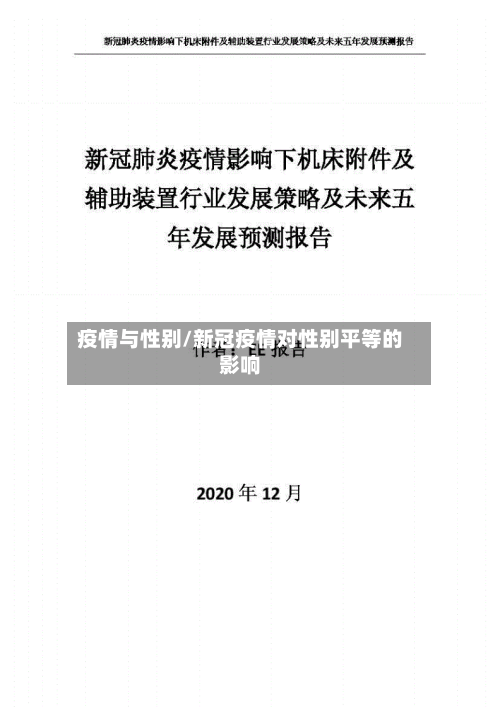 疫情与性别/新冠疫情对性别平等的影响