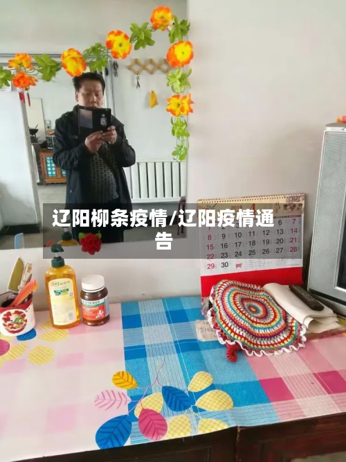 辽阳柳条疫情/辽阳疫情通告-第2张图片